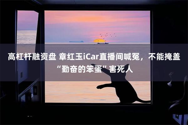 高杠杆融资盘 章红玉iCar直播间喊冤，不能掩盖“勤奋的笨蛋”害死人