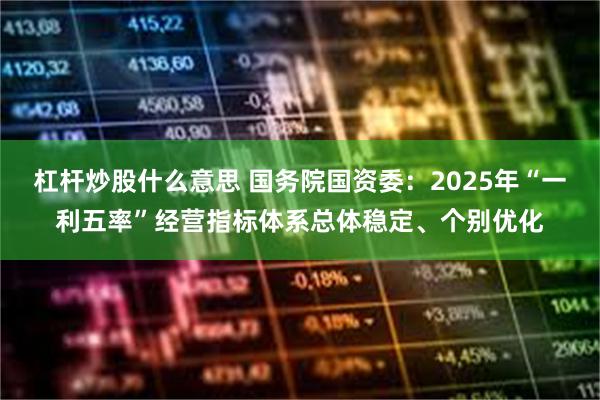 杠杆炒股什么意思 国务院国资委：2025年“一利五率”经营指标体系总体稳定、个别优化